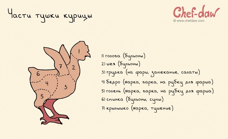 Части тушки курицы - Кулинарные советы в картинках