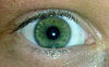 Green eye - Types of eye colors