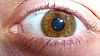 Marsh eye - Types of eye colors