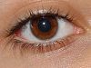 Brown eyes - Types of eye colors