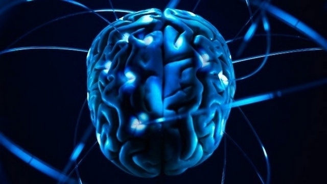 The speed of impulses in the brain. Incredible facts about the human body. Brain Скорость импульсов в мозге Невероятные факты о человеческом теле. Мозг