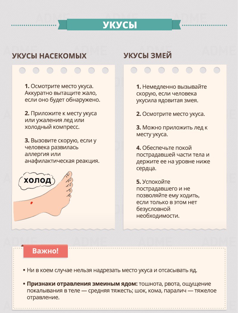 Bites - First Aid Guide Укусы - Гид по оказанию первой помощи