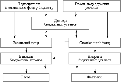 Vzaєmozv'yazok dohodіv, vidatkіv that vitrat budgetary SET