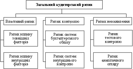 The scheme of auditor's risk