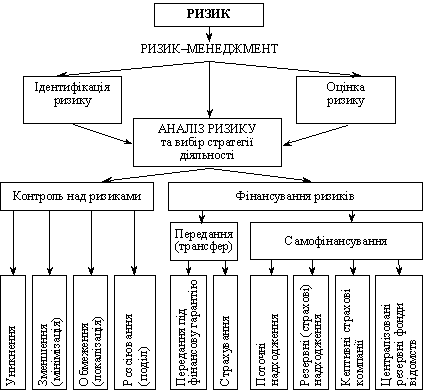 Scheme for Rizik Management
