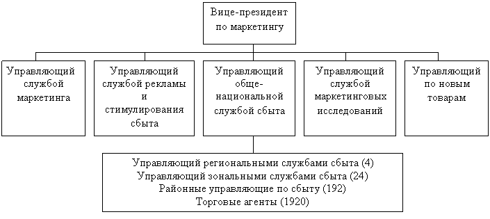 Geographical Organization