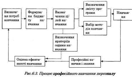 The process of proficient navchannya staff