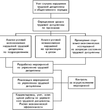 The approximate scheme of work in the organization (the company) to strengthen labor discipline