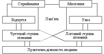 Structure пізнавальної сфери особистостіі