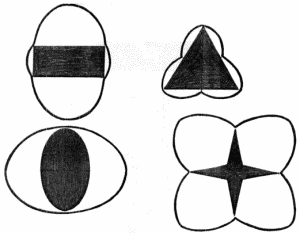 Likewise, using this tool, that is, taking the maximum straight line intersecting at the center of the figure we get interesting results.