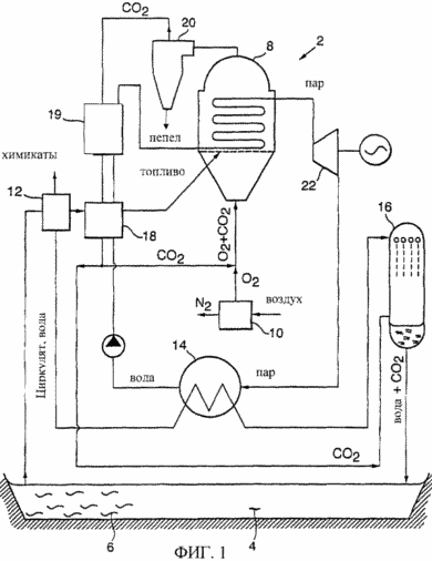 METHOD FOR CONVERTING SOLAR ENERGY ACCUMULATED THROUGH photosynthesis into electrical energy