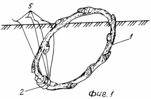 METHOD OF GROWING SHRUBBY berries