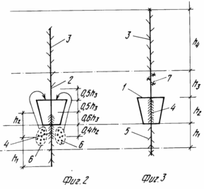 METHOD FOR GROWING TOMATOES BY METHOD OF MULTILIFE HYDROPONIC
