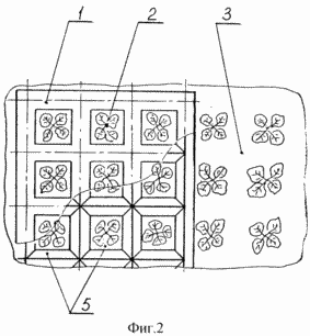 METHOD OF GROWING THE SEDIMENT