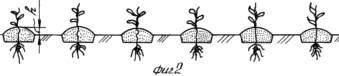 METHOD OF SODIUM EMISSIONS ON GRAIN ON IRRIGATED LAND
