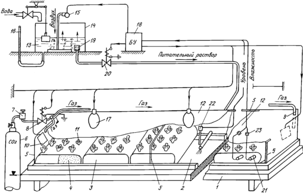 METHOD OF GROWING hydroponic C3-PLANTS