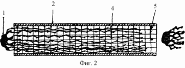 METHOD OF REFERENCE grape plant