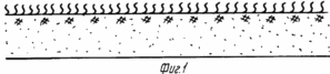 METHOD OF IMPROVEMENT OF FODDER COINS