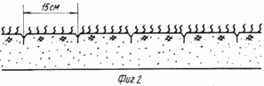 METHOD OF IMPROVEMENT OF FODDER COINS