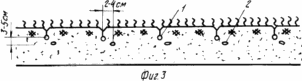 METHOD OF IMPROVEMENT OF FODDER COINS