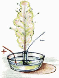 Finally, the most beautiful experience - electric fountain voltaicheskaya pump as the author himself called it (Figure 4.).