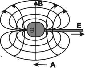 The electric and magnetic field of the electron