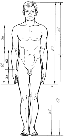 Telo.gif (9578 bytes)