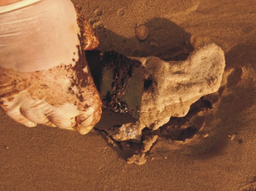 REMOVING THE OIL SPILL FROM SURFACE WATER AND WITH SOLID SURFACES