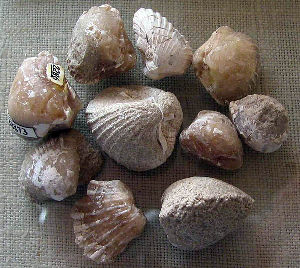 Semiprecious stones, Gems