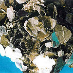 Semi-precious stones, gems
