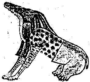 Ammit - AMMGG - Western demonology Аммит — АММГГ - Западная демонология